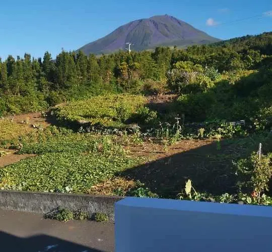 度假居 Our Place In Pico *